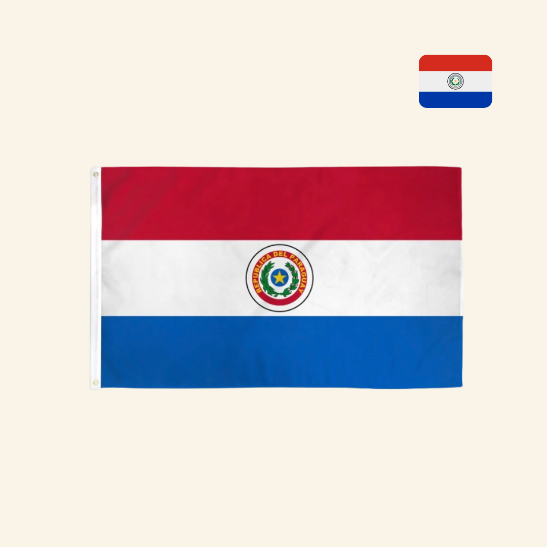 Authentic Paraguay national flag
